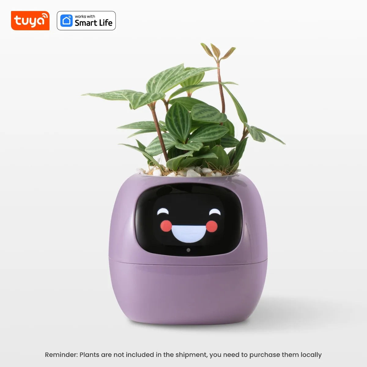 BotaniqBot - AI Smart Planter