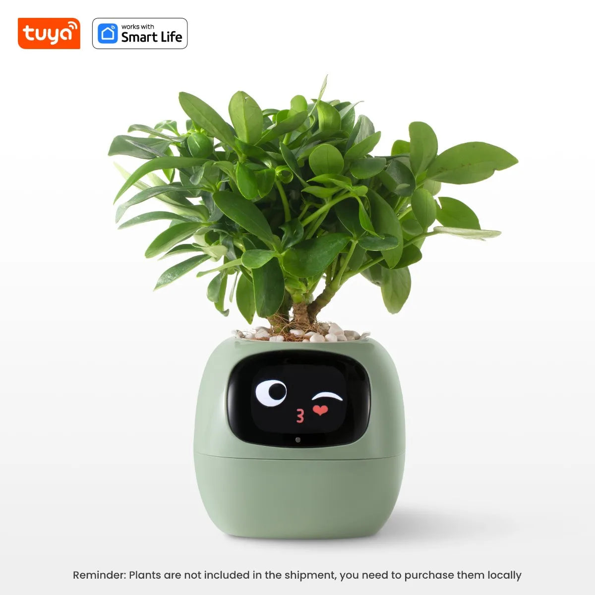BotaniqBot - AI Smart Planter